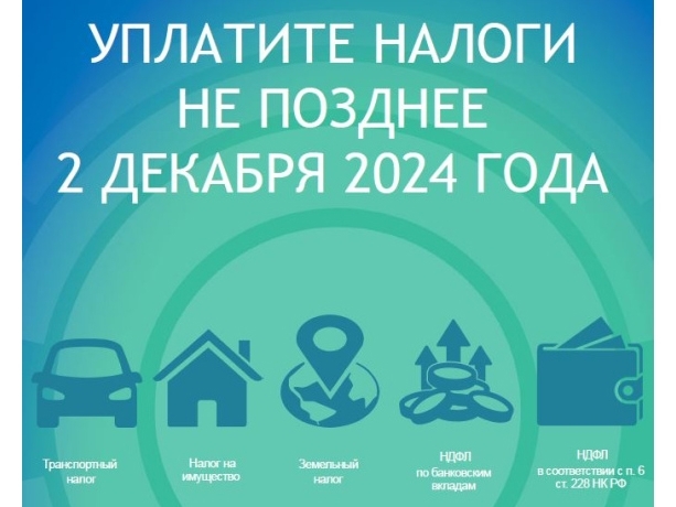 Уплатите налоги не позднее 2 декабря 2024 года!.