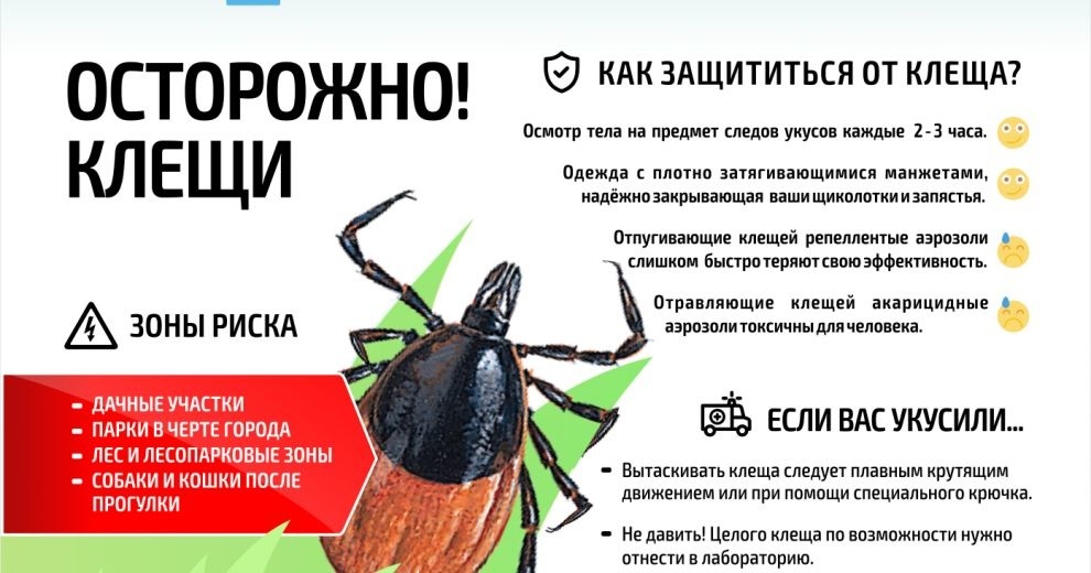 Памятка для населения по профилактике клещевого вирусного энцефалита.
